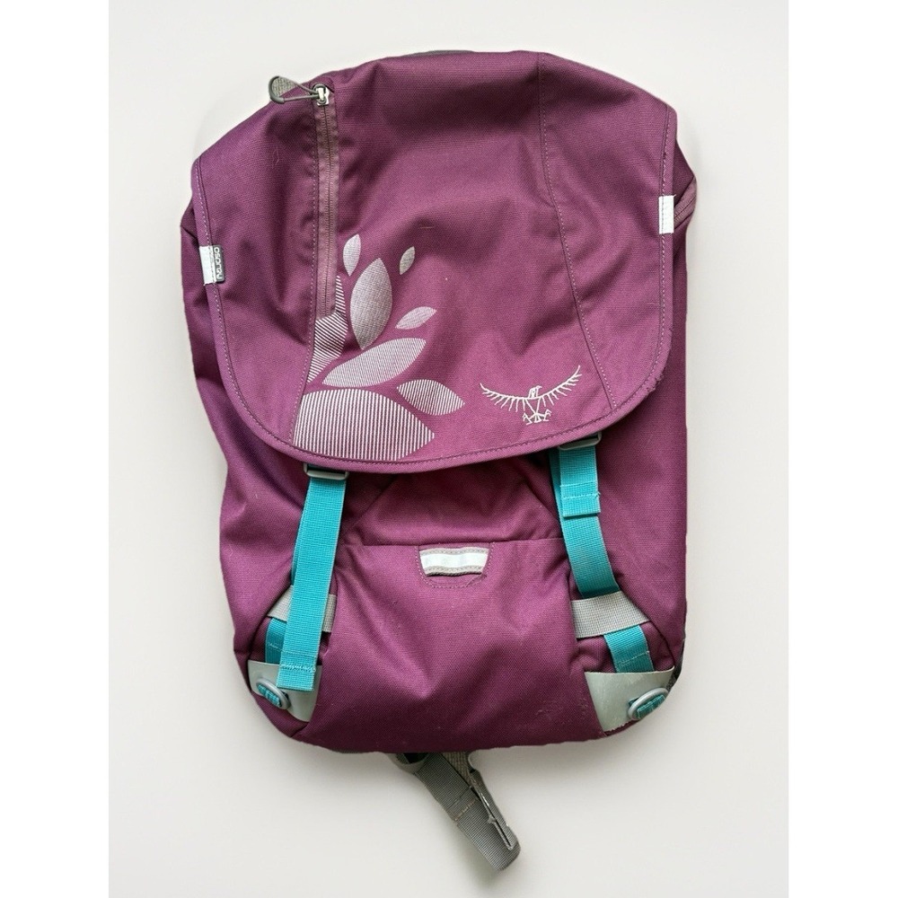 Osprey FlapJill Laptop Backpack Discontinued Magenta Commuter & Travel Daypack